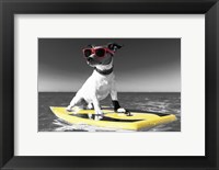 Framed Pop of Color Surf's Up Dog