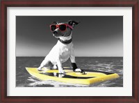 Framed Pop of Color Surf's Up Dog