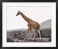 Framed Pop of Color Lone Giraffe