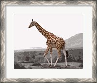 Framed Pop of Color Lone Giraffe
