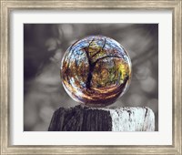 Framed Pop of Color Glass Sphere