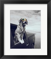 Framed Pop of Color Cool Dog