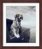 Framed Pop of Color Cool Dog