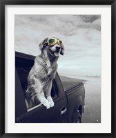 Framed Pop of Color Cool Dog