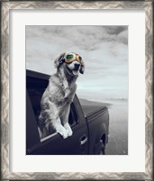 Framed Pop of Color Cool Dog