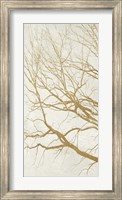 Framed Golden Tree I