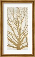 Framed Golden Tree II
