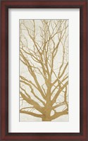 Framed Golden Tree II