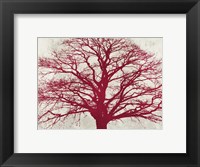 Framed Purple Oak