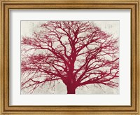 Framed Purple Oak