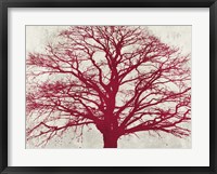 Framed Purple Oak