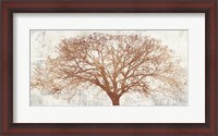 Framed Tree of Bronze