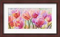 Framed Tulips in Wonderland