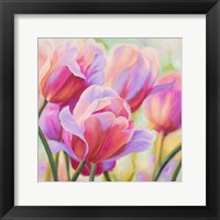 Framed Tulips in Wonderland I