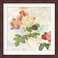 Framed Redoute's Roses 2.0 I