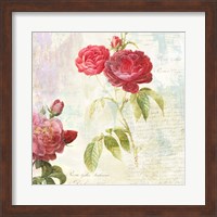 Framed Redoute's Roses 2.0 II
