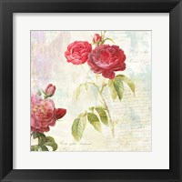 Framed Redoute's Roses 2.0 II