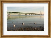 Framed Mackinac Bridge, Mackinaw City, Michigan