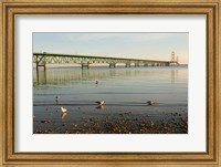 Framed Mackinac Bridge, Mackinaw City, Michigan