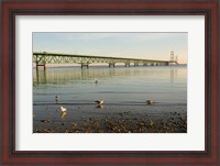 Framed Mackinac Bridge, Mackinaw City, Michigan