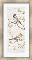 Framed Vintage Birds Panel II