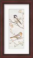 Framed Vintage Birds Panel II