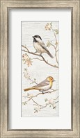 Framed Vintage Birds Panel II