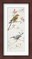 Framed Vintage Birds Panel I