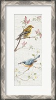 Framed Vintage Birds Panel I