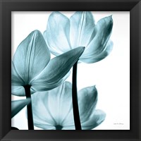 Framed 'Translucent Tulips III Sq Aqua' border=