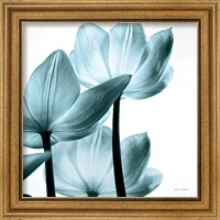 Framed 'Translucent Tulips III Sq Aqua' border=