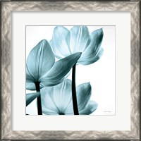 Framed Translucent Tulips III Sq Aqua