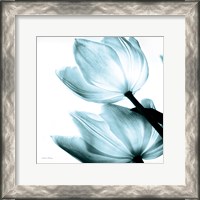 Framed Translucent Tulips II Sq Aqua