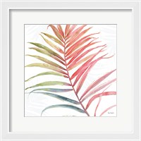 Framed Tropical Blush VI