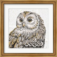 Framed Beautiful Owls I