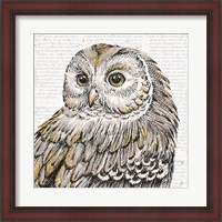 Framed Beautiful Owls I