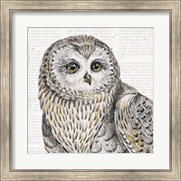 Framed Beautiful Owls II