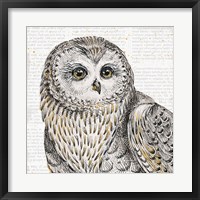 Framed Beautiful Owls II