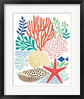 Under Sea Treasures VI Framed Print