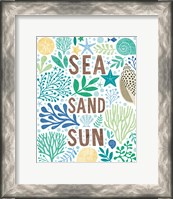 Framed Under Sea Treasures III Sea Glass