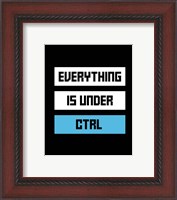 Framed Everything Under Control