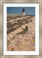 Framed Nantucket Shell in front of Brant Point lighthouse