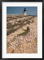 Framed Nantucket Shell in front of Brant Point lighthouse