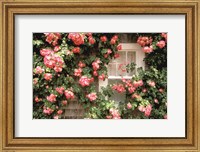 Framed Roses and home, Nantucket Island