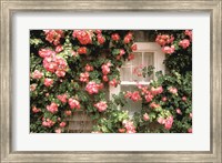 Framed Roses and home, Nantucket Island