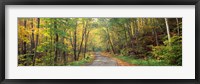 Framed Road passing through autumn forest, Golf Link Road, Colebrook, New Hampshire