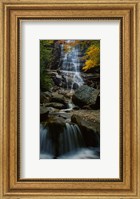 Framed Waterfall in a forest, Arethusa Falls, Crawford Notch State Park, New Hampshire, New England