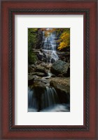 Framed Waterfall in a forest, Arethusa Falls, Crawford Notch State Park, New Hampshire, New England