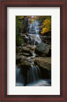 Framed Waterfall in a forest, Arethusa Falls, Crawford Notch State Park, New Hampshire, New England