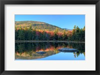 Framed Lily Pond, White Mountain Forest, New Hampshire